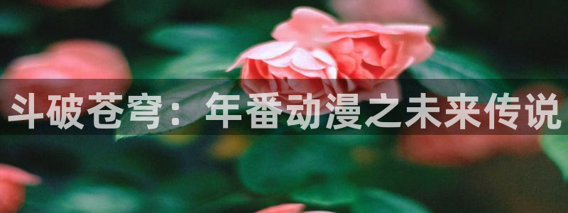 动漫下载 age动漫：斗破苍穹：年番动漫之未来传说配图