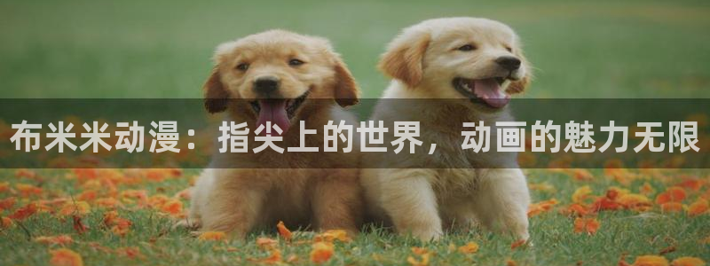 动漫age苹果下载：布米米动漫：指尖上的世界，动画的魅力无限配图