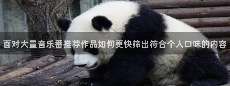 AGE 动漫官网下载:面对大量音乐番推荐作品如何更快筛出符合个人口味的内容配图