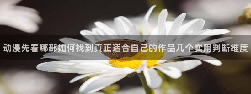 age怎么下载动漫:动漫先看哪部如何找到真正适合自己的作品几个实用判断维度配图