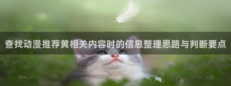 动漫下载 AGE:查找动漫推荐黄相关内容时的信息整理思路与判断要点配图
