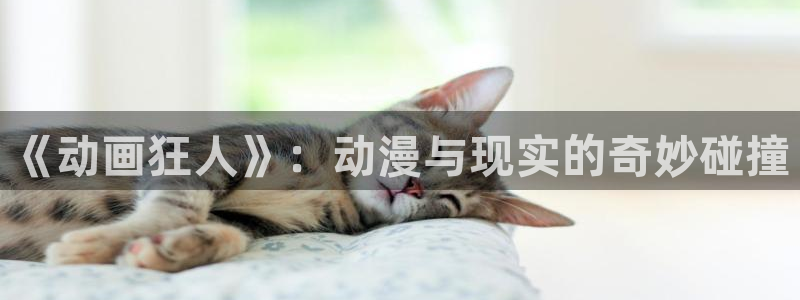 age动漫下载包:《动画狂人》:动漫与现实的奇妙碰撞配图