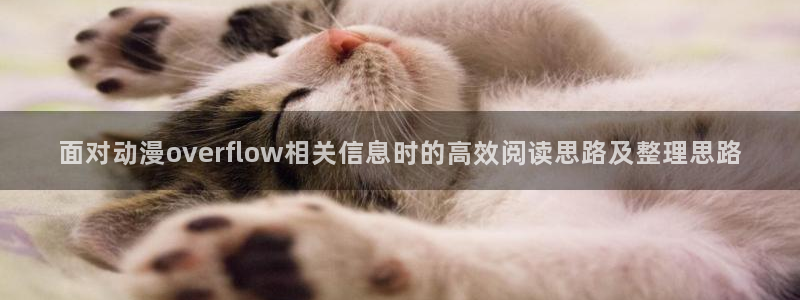 软件AGE动漫下载:面对动漫overflow相关信息时的高效阅读思路及整理思路配图