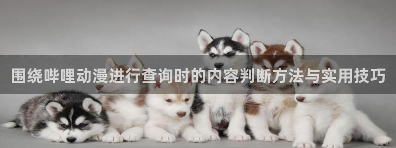 age动漫下载方法:围绕哔哩动漫进行查询时的内容判断方法与实用技巧配图