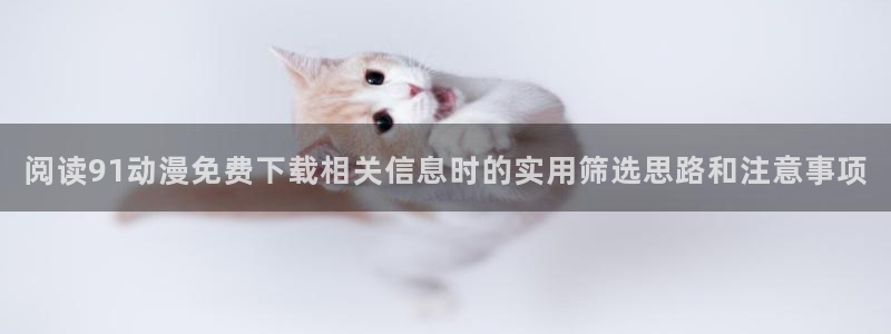 AGE动漫啦下载：阅读91动漫免费下载相关信息时的实用筛选思路和注意事项配图