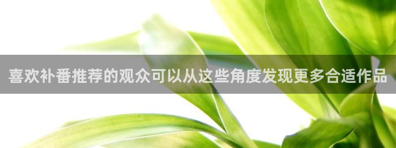 age动漫下载闪电:喜欢补番推荐的观众可以从这些角度发现更多合适作品配图
